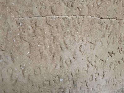 IMG 2973 scaled 42be6e69 - nof4