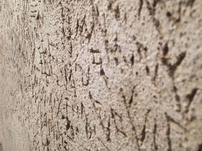 IMG 20811 scaled 5ec35ef9 - nof4