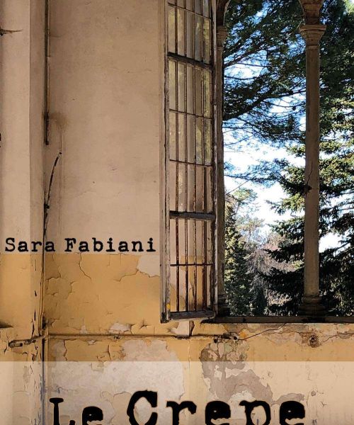 Manicomio di Volterra - Manicomio di Volterra Sara Fabiani Le crepe dellanima 0 a0d1d750 - manicomio di volterra