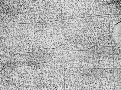 99142042 10221172167006443 4302884754677563392 n f9d20798 - nof4