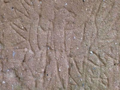 IMG 5498 scaled f99110f7 - nof4