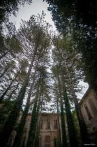 NeroGotico - Manicomio di Volterra 89857747 10221910829863593 4415450427256995840 o - NeroGotico