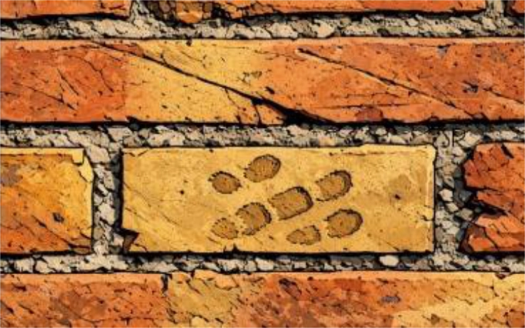 Una visita all’ex Ospedale Psichiatrico di Volterra (1888–1978) - Manicomio di Volterra Il muro in mattoni prodotti internamente, sul quale restano impronte lasciate quasi a voler testimoniare la propria esistenza attraverso un segno tangibile