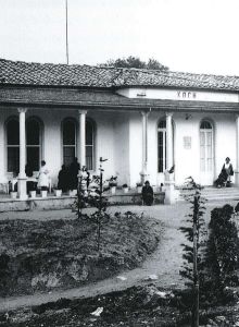 padiglione koch 0203ab26 - Ultimi aggiornamenti