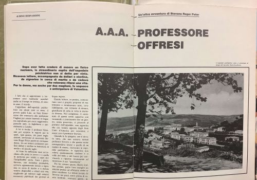 AAA Professore offresi