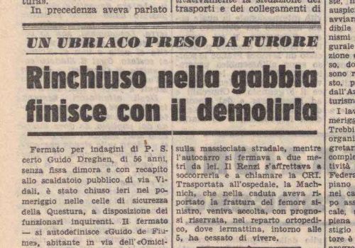 Un ubriaco preso da furore - Rinchiuso nella gabbia finisce con il demolirla