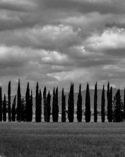 Il manicomio di Volterra nello spirito della città