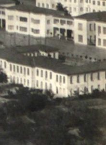 Padiglione Biffi a4295c45 - Ultimi aggiornamenti
